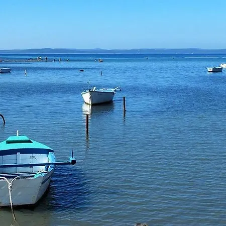 Marino Privlaka (Zadar)